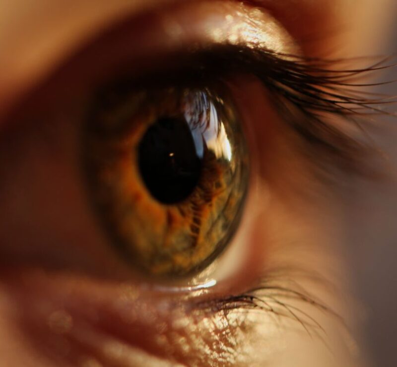 Monsoon Eye Care How to protect your eyes this rainy season